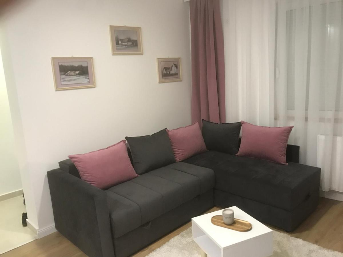 Apartman Kristina Free Parking Novi Sad Exterior foto