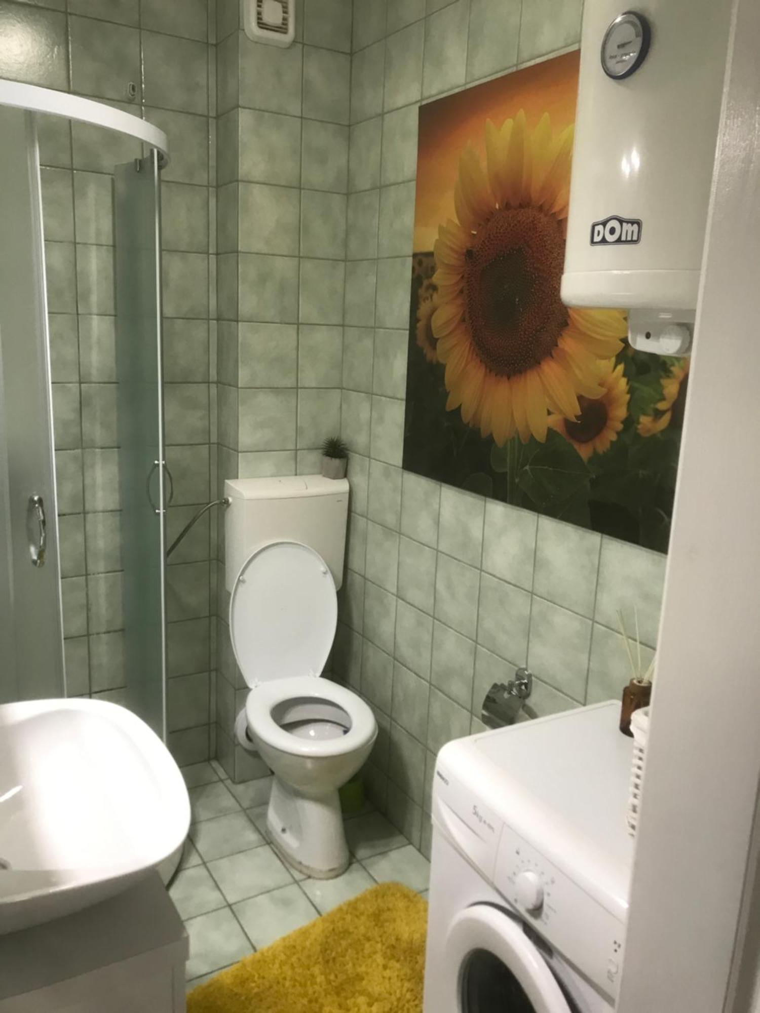 Apartman Kristina Free Parking Novi Sad Exterior foto